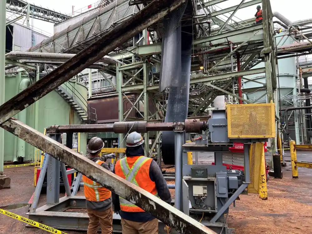 Pulp & Paper Industry